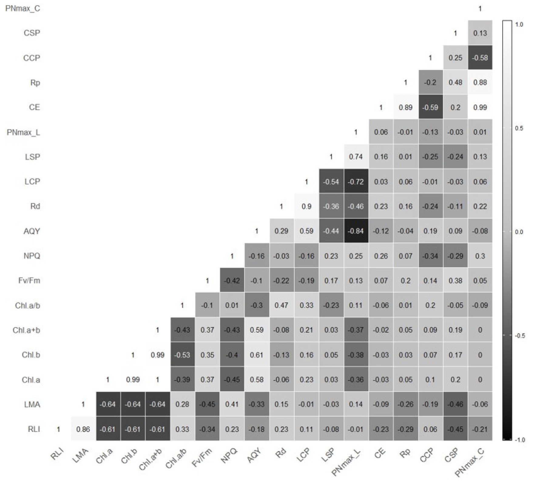 Changes in Growth and Physiological Characteristics of Iris laevigata  Fisch. by Shading Treatment